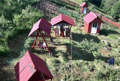 Casă cu Teren 6000 Mp în Câmpeni - 8