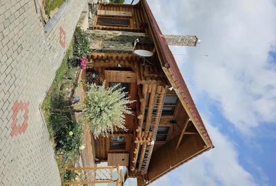 Casă cu 3 camere cu Teren 3042 Mp în Vale - 8