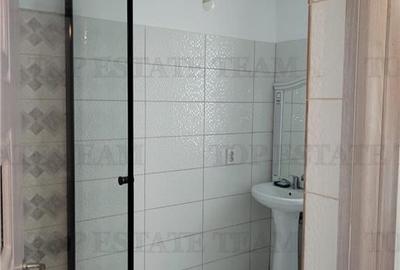 Vila individuala cu 5 camere,  2 terase, 4 locuri de parcare,350mp teren imprejm - 14