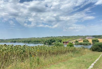 Teren Construcții intravilan de 7744 mp, în Moara Vlăsiei