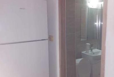 Apartament cu 2 camere nedecomandat, mobilat în Tătărași - 2