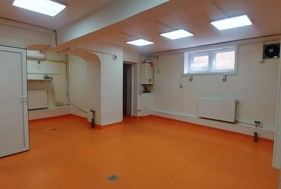 Proprietate specială, de 100 mp, în Pantelimon - 11