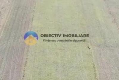 TEREN intravilan 4488 mp - PANGARA?I - 8