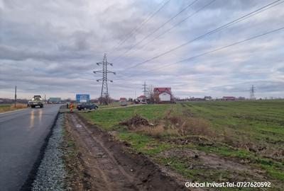 Corbu- Teren 2500mp la intrare in localitate pe dreapta - 9