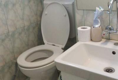Apartament cu 2 camere decomandat în Precista - 7