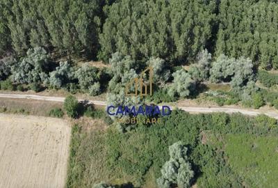 Teren de vanzare - deschidere la Dunare -Baltenii de Sus, comuna Bestepe, Tulcea - 4