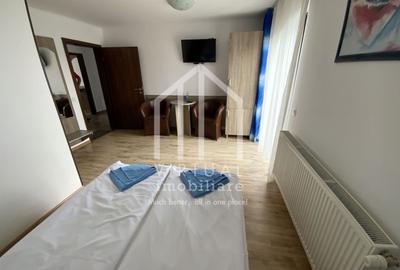 Pensiune de vanzare in Paltinis- Locatie deosebita- Afacere la cheie - 34