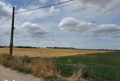 Teren de 4500 mp, în Central