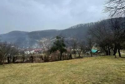 Casă cu Teren 6000 Mp în Tăuții-Măgherăuș - 5