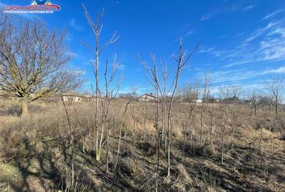 Casa de in localitatea Malcoci-judet Tulcea - 2