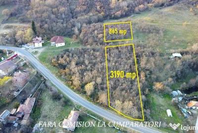 Teren de 4055 mp, în Păușești - 2