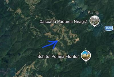 Casă cu 2 camere cu Teren 17240 Mp în Saca - 3