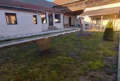 Casă cu 2 camere în Variaș - 2