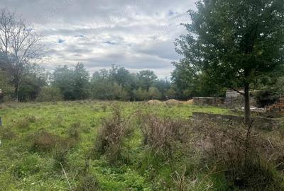 Casă cu 2 camere în Central - 4