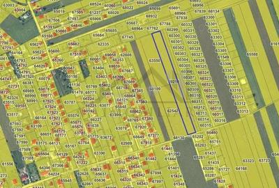 Teren de 8503 mp, în Aroneanu - 1