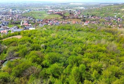 DE VANZARE - Teren intravilan, Baia Mare, zona Miron Costin - 3