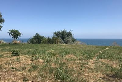 Vedere frontala la mare, deschidere 40m ,str Eminescu 28,Casa Casatoriilor - 5