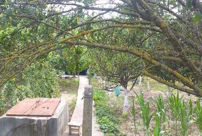 Casă cu 3 camere cu Teren 1700 Mp în Izvoarele - 9