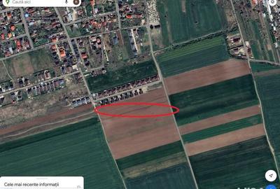 Teren de 5000 mp, în Balotești