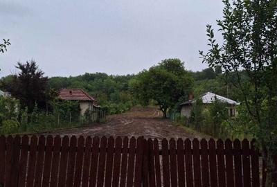 Teren de 2500 mp, în Coșerele - 3