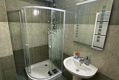 Proprietate cu piscina Dumbravita - 29