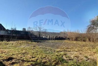 Casă cu 3 camere cu Teren 2097 Mp în Sârbi (Budești) - 7