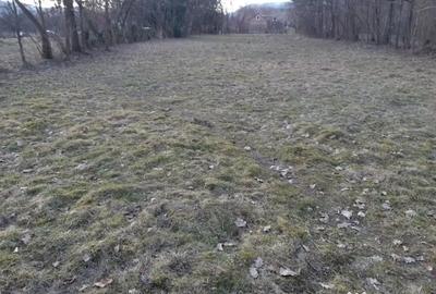 Teren de 2200 mp, în Vișeu de Mijloc - 2