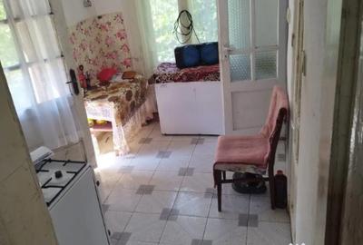 Casă cu 2 camere cu Teren 7500 Mp în Valea Roșie - 1