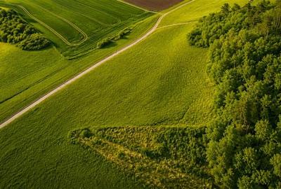 Teren extravilan de 6000 mp, în Sângeorgiu de Mureș - 7