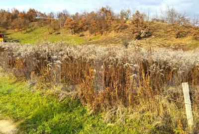 Teren extravilan de vanzare, 2400 mp, zona Valea Ghinzii - 1