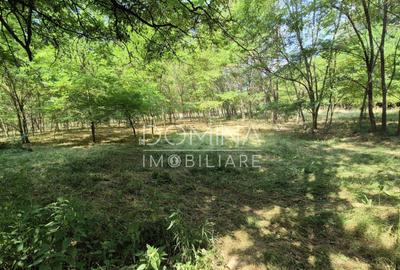 Proprietate in apropiere de complex turistic Mu?ete?ti - 8