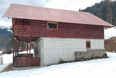 Casă cu 3 camere cu Teren 1000 Mp în Horea - 7