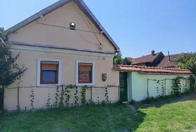 Casă cu 2 camere în Ilidia - 4