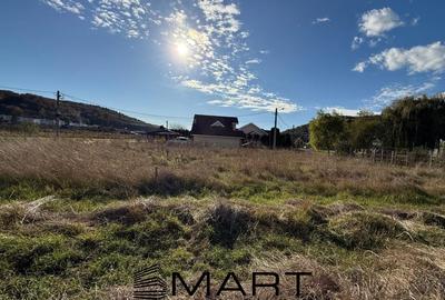 Teren Construcții intravilan de 600 mp, în Sighișoara - 2