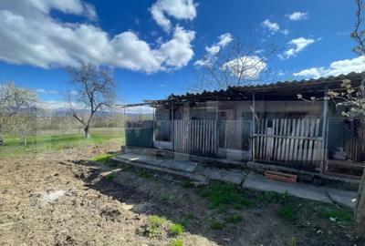 Casă cu 3 camere cu Teren 3000 Mp în Central - 6