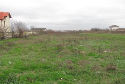 Cornetu - Crizantemelor, Stradal - 9