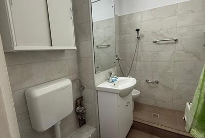 Apartament 2 camere Nicolae Grigorescu 5 min  str. Lotrioara - 24