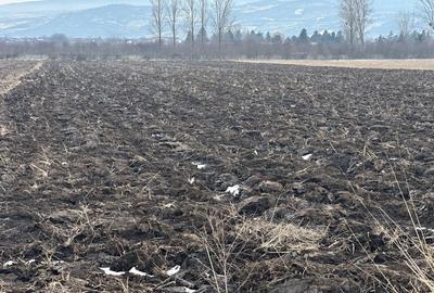 Spațiu comercial, în Dancu - 6