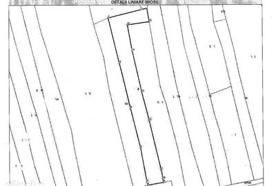 Teren de 9723 mp, în Gălăuțaș - 5