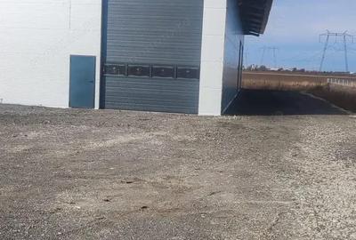 Hala 250 mp noua Ciorogarla ( Autostrada A 1 ) - 1