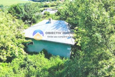 TEREN intravilan + casa  DOBRENI - SARATA - 6