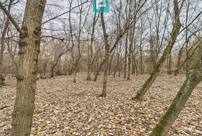 Teren extravilan de 5000 mp, în Periam - 4