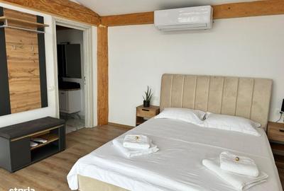 Spațiu comercial, de 25,000 mp, în Podu Oltului - 6