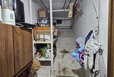 Giarmata  Mare – Casa 4 Camere – Central – Teren - 13