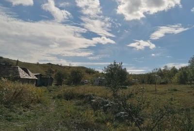 Teren Construcții intravilan de 3850 mp, în Țibrinu - 1