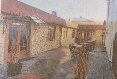 Spațiu comercial, de 350 mp, în Piața Centrală - 2
