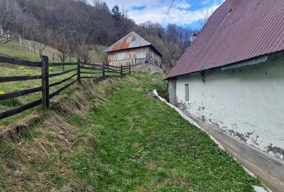 Vand casa in localitatea BAIUT - 1