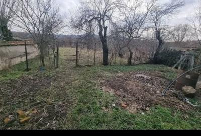 Casă cu 3 camere în Uileacu de Beiuș - 3