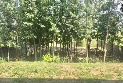 Casă individuală cu 5 camere cu Canalizare în Corbeanca - 2