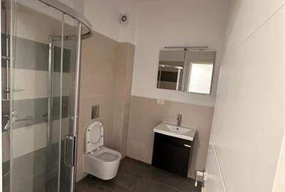 Vanzare apartament 3 camere Lux Voluntari - 9